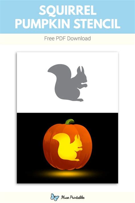 bunny pumpkin stencil|squirrel stencil.